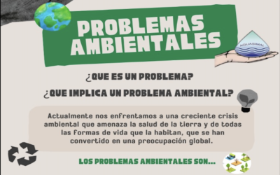 Problemas Abientales