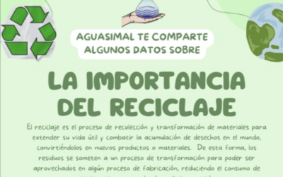 Importancia del Reciclaje